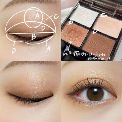 アイカラーレーション/LUNASOL/アイシャドウパレットを使ったクチコミ(2枚目)