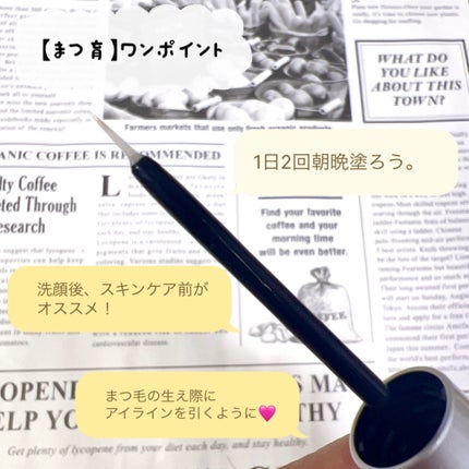 ラッシュリッチアイラッシュセラム/ロート製薬/まつげ美容液を使ったクチコミ(2枚目)