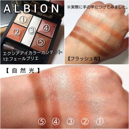 エクシア アイカラー カンテット/ALBION/アイシャドウパレットを使ったクチコミ(4枚目)