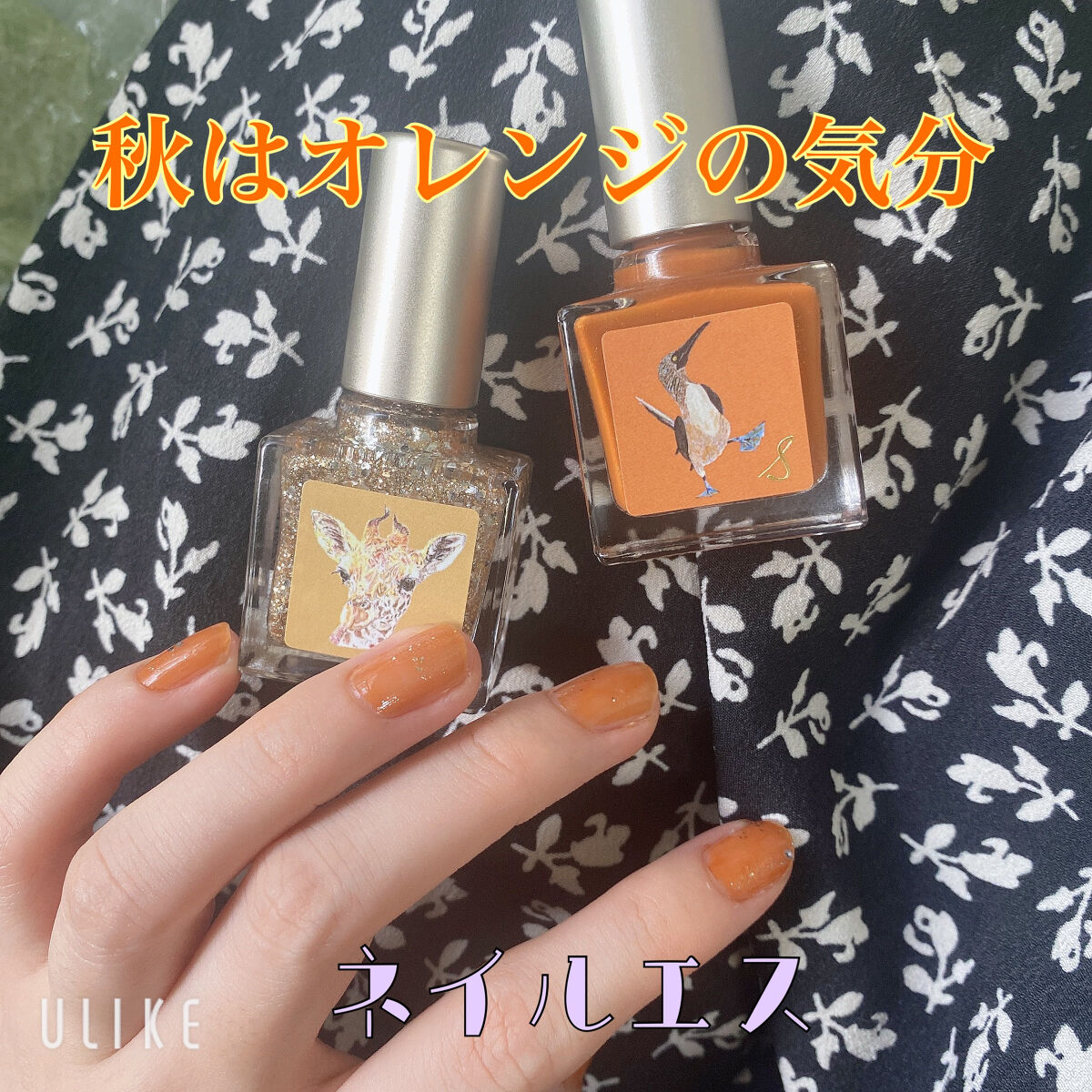 ネイルエス/ nail S(ネイルエス) /マニキュアを使ったクチコミ（1枚目）