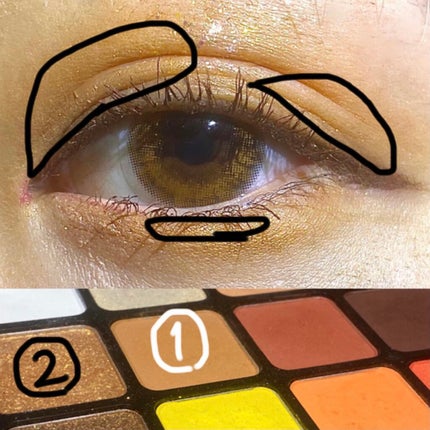 モダン ドリーマー シャドウ パレット/NYX Professional Makeup/アイシャドウパレットを使ったクチコミ(2枚目)