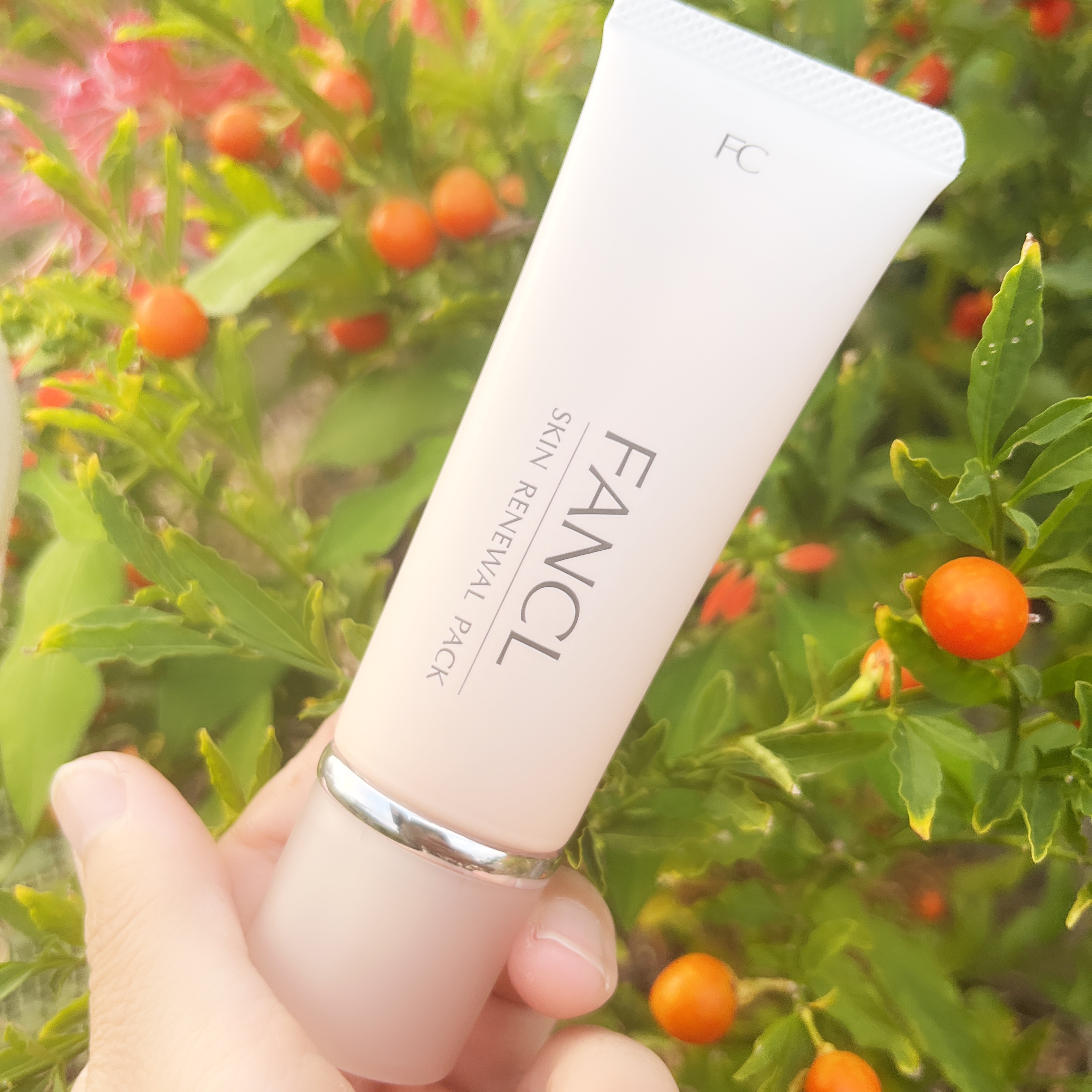 スキン リニューアルパック/ファンケル/洗い流すパック・マスクを使ったクチコミ（1枚目）