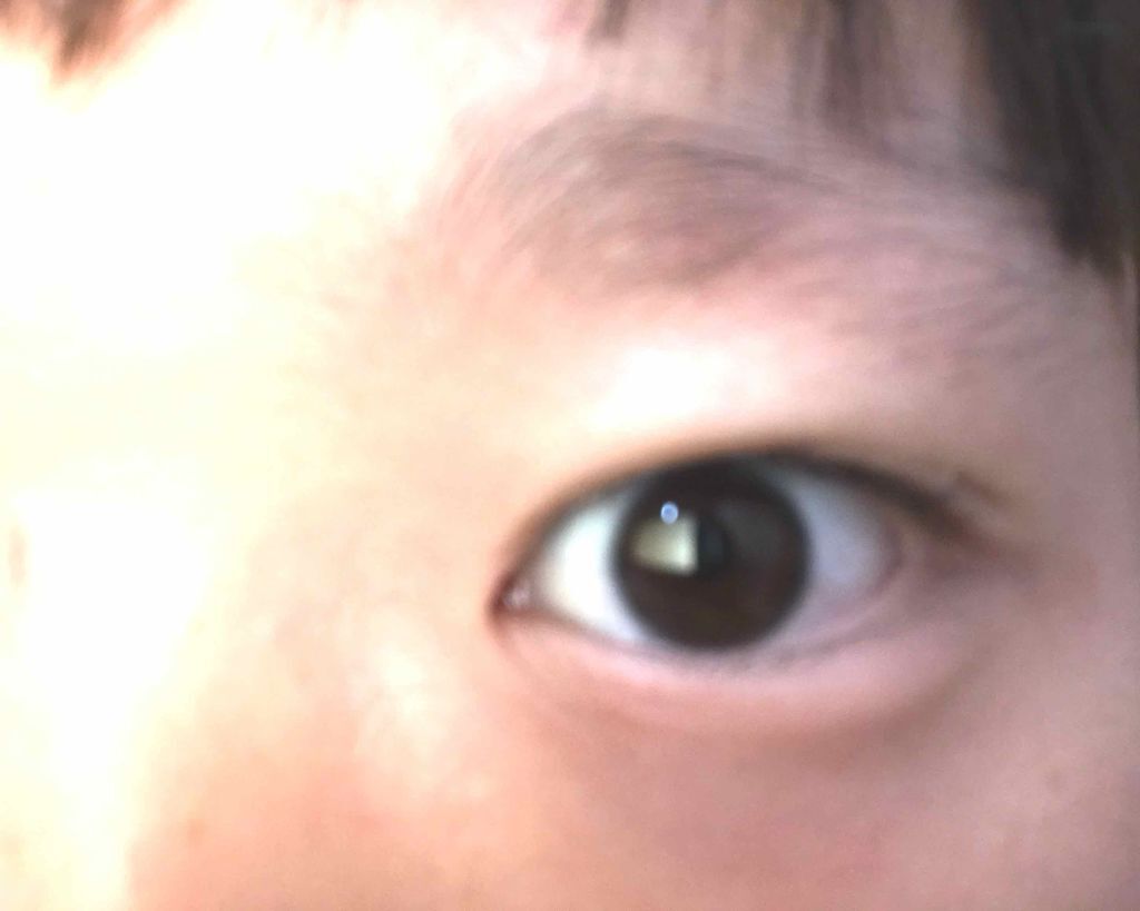 Angelcolor Bambi Series 1day /AngelColor/ワンデー（１DAY）カラコンを使ったクチコミ（3枚目）