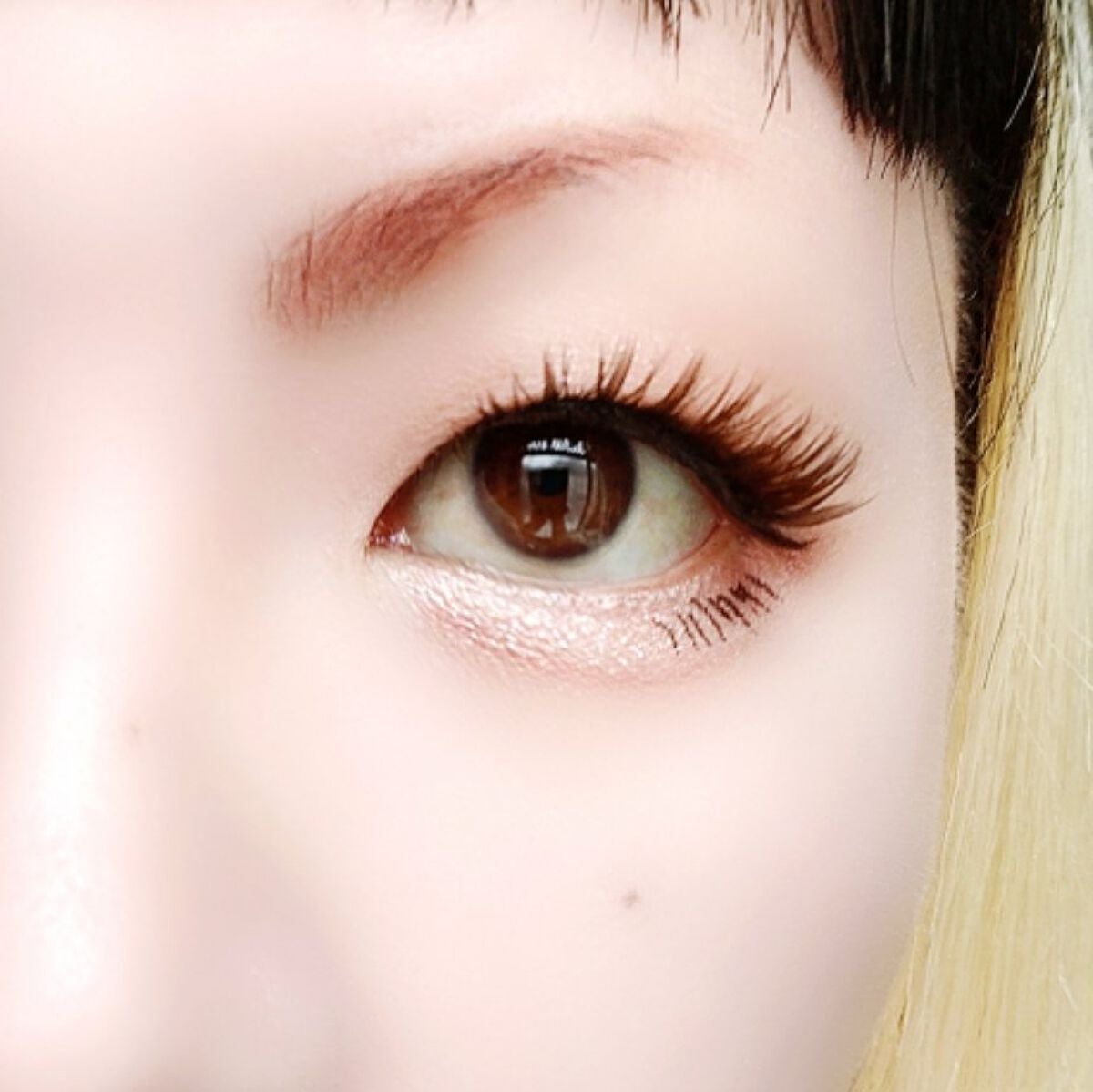 シルキースフレアイズ(マットタイプ)/キャンメイク/アイシャドウパレットを使ったクチコミ(6枚目)