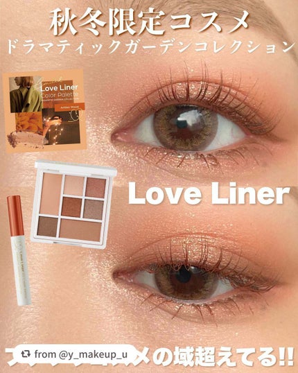 ラブ・ライナー アイカラーパレット ロマンティックブルームコレクション<アイシャドウ>/ラブ・ライナー/アイシャドウパレットを使ったクチコミ(1枚目)