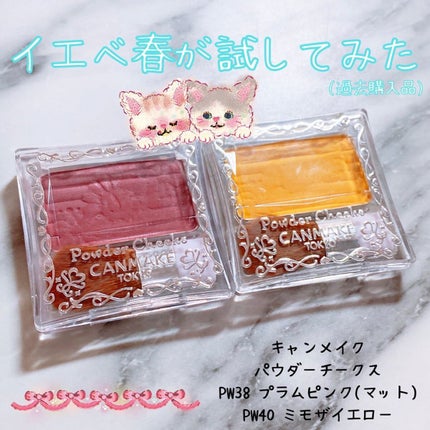 【旧品】パウダーチークス/キャンメイク/パウダーチークを使ったクチコミ(1枚目)