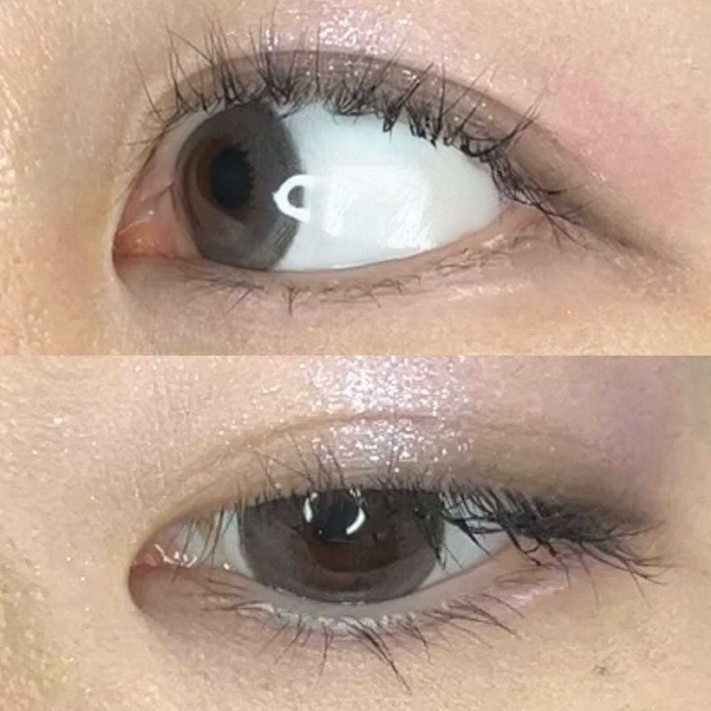 リッチアンインディー/ANN365LENS/カラーコンタクトレンズを使ったクチコミ（3枚目）