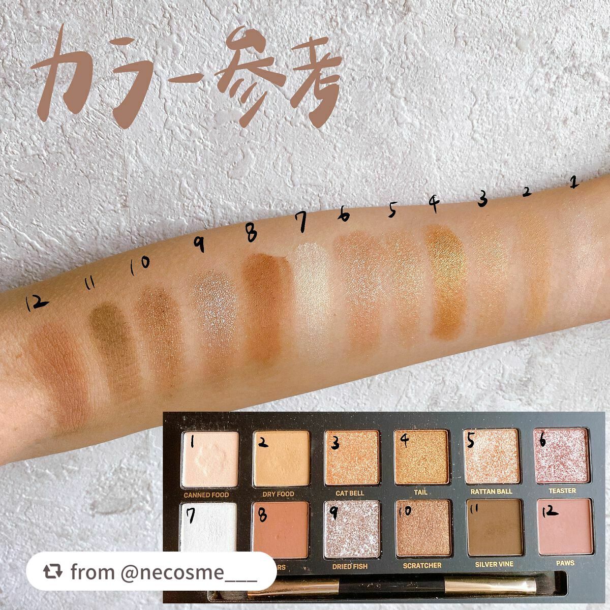 エクスプローラ12色 動物アイシャドウパレット/PERFECT DIARY/アイシャドウパレットを使ったクチコミ(2枚目)