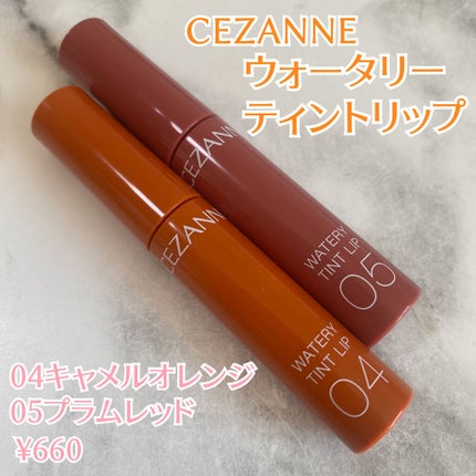 ウォータリーティントリップ/CEZANNE/リップティントを使ったクチコミ(2枚目)