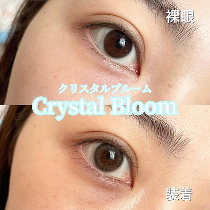 TOPARDS 1day/TOPARDS/ワンデー(1DAY)カラコンを使ったクチコミ(6枚目)