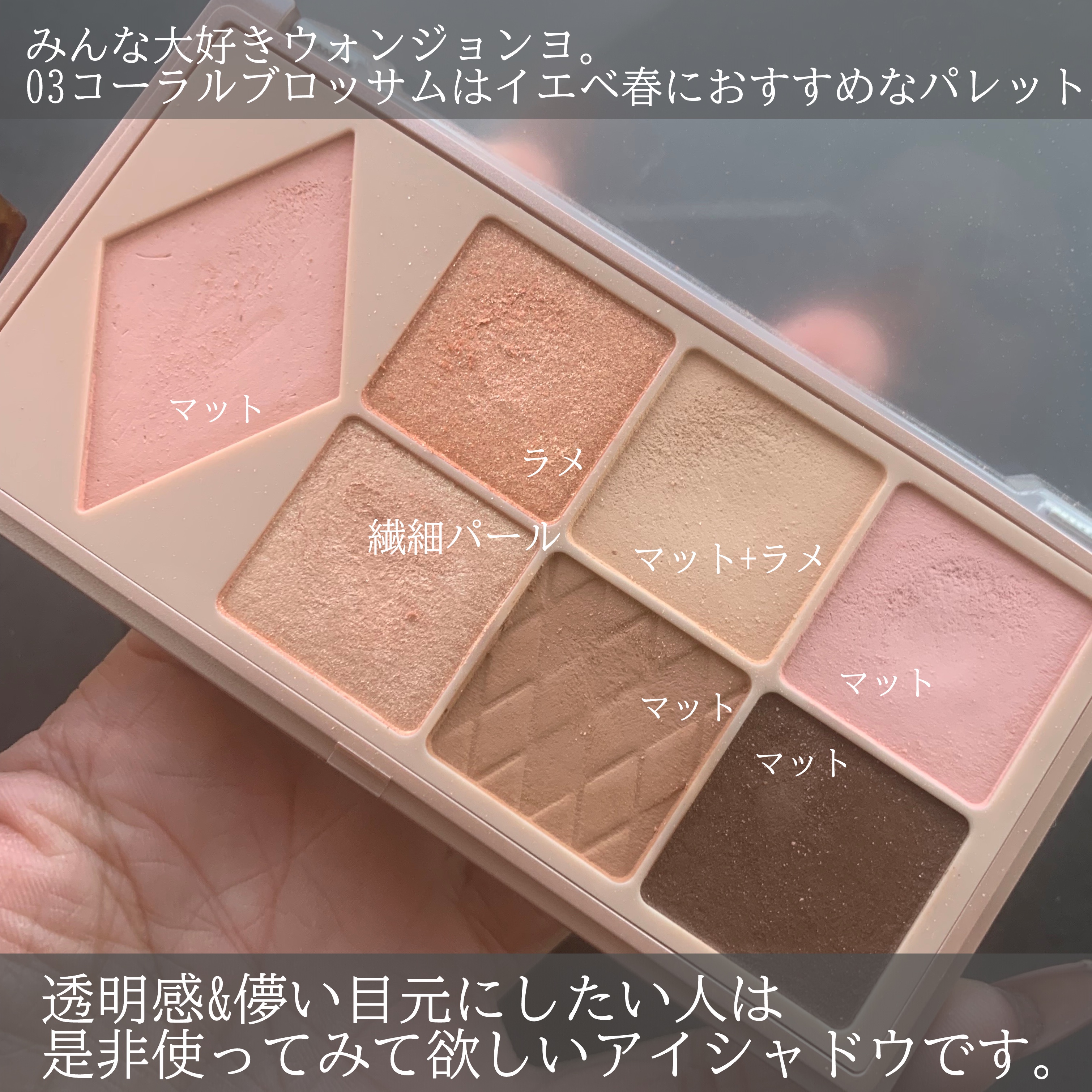 ウォンジョンヨ Ｗ デイリームードアップパレット /Wonjungyo/アイシャドウパレットを使ったクチコミ（2枚目）