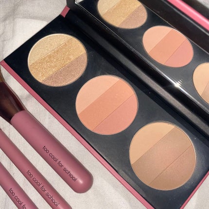 バイロダン アートパレットⅡ/too cool for school/メイクアップキットを使ったクチコミ(4枚目)