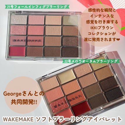ソフトブラーリングアイパレット/wakemake/アイシャドウパレットを使ったクチコミ(2枚目)