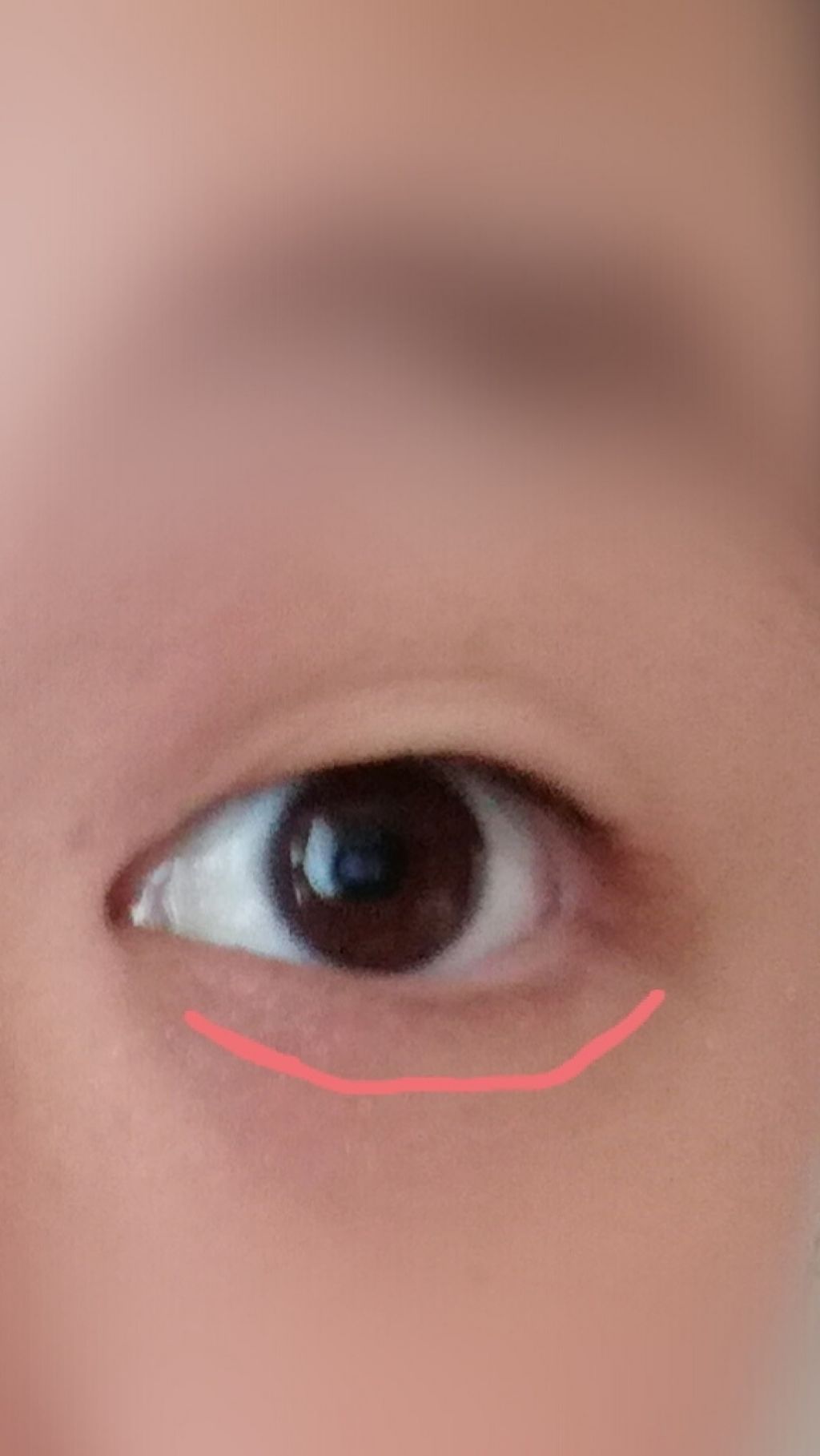 MP2wayアイクレヨン/セリア/スティックアイシャドウを使ったクチコミ(1枚目)