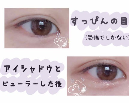 ラッシュエキスパンダー ロングロングロング/MAJOLICA MAJORCA/マスカラを使ったクチコミ(2枚目)