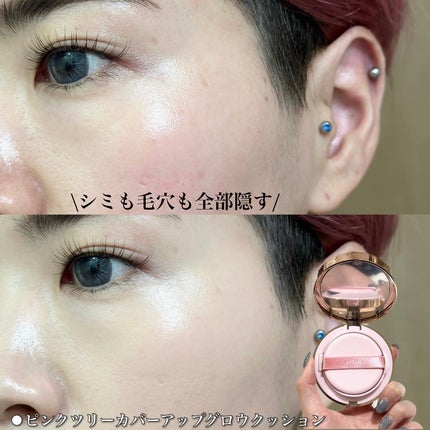 ピンクティーツリーカバーアップグロウクッション/APLIN/クッションファンデーションを使ったクチコミ(4枚目)