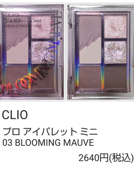 プロ アイ パレット/CLIO/アイシャドウパレットを使ったクチコミ(5枚目)