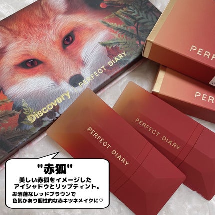 エクスプローラ12色 動物アイシャドウパレット/PERFECT DIARY/アイシャドウパレットを使ったクチコミ(2枚目)