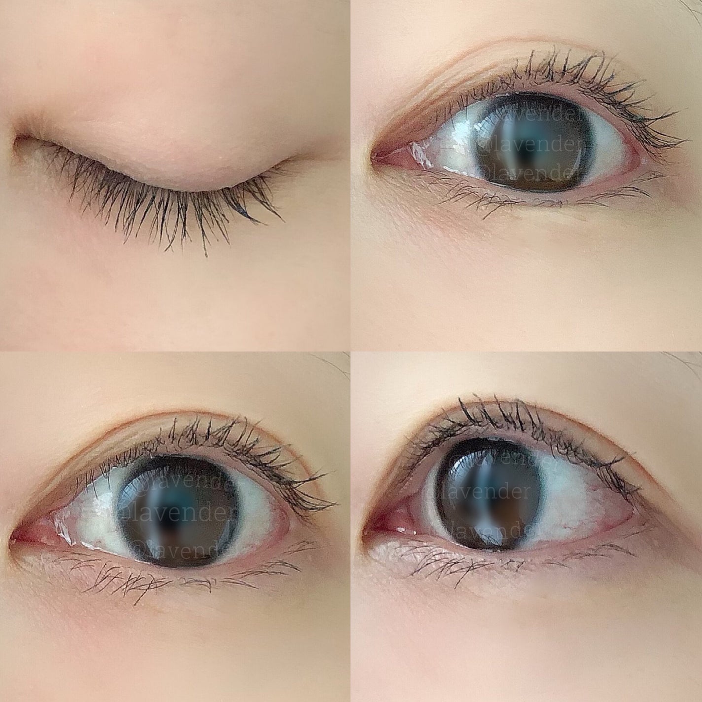 ウォンジョンヨ ヌードアイラッシュ/Wonjungyo/マスカラを使ったクチコミ(4枚目)