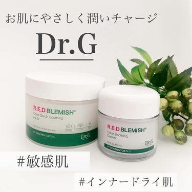 レッドブレミッシュクリアクイックスージングパック/Dr.G/拭き取り化粧水を使ったクチコミ（1枚目）