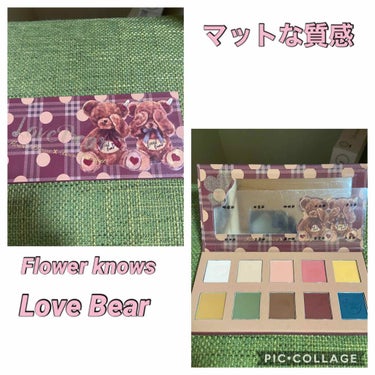 Love Bear 10色アイシャドウパレット/FlowerKnows/パウダーアイシャドウを使ったクチコミ（1枚目）