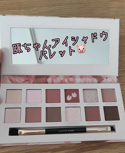 エクスプローラ12色 動物アイシャドウパレット/PERFECT DIARY/アイシャドウパレットを使ったクチコミ(1枚目)