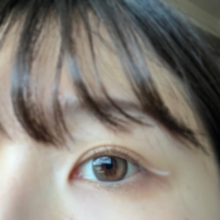 ゴクブトマスカラ/キャンメイク/マスカラを使ったクチコミ(5枚目)