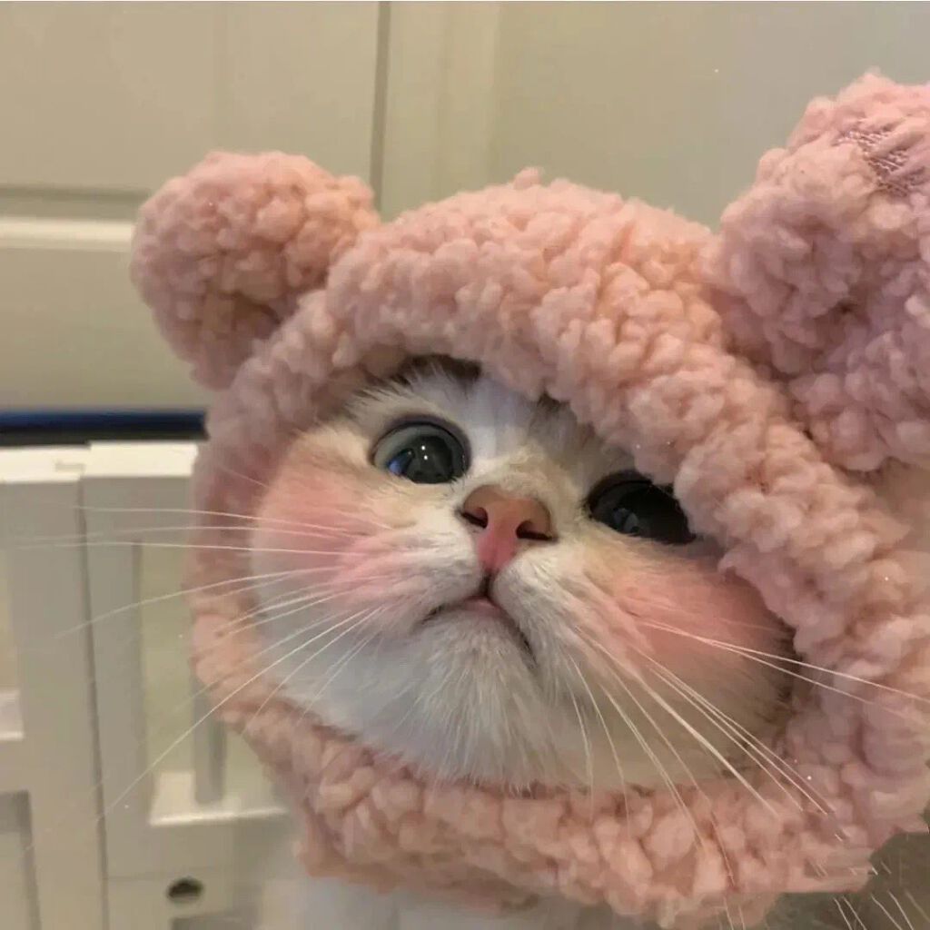 Ruo_iyiitðŒðð on LIPS ãããã«ã¡ã¯ïŒåããŸããŠçãã^-^ç§ã¯äžåœäººã§ãïŒç§ã®æ¥æ¬èªã..ãïŒ2æç®ïŒ