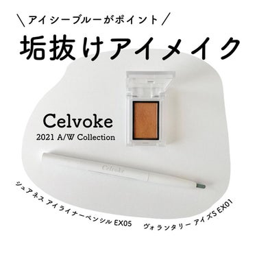 セルヴォーク ヴォランタリー アイズ/Celvoke/パウダーアイシャドウを使ったクチコミ（1枚目）