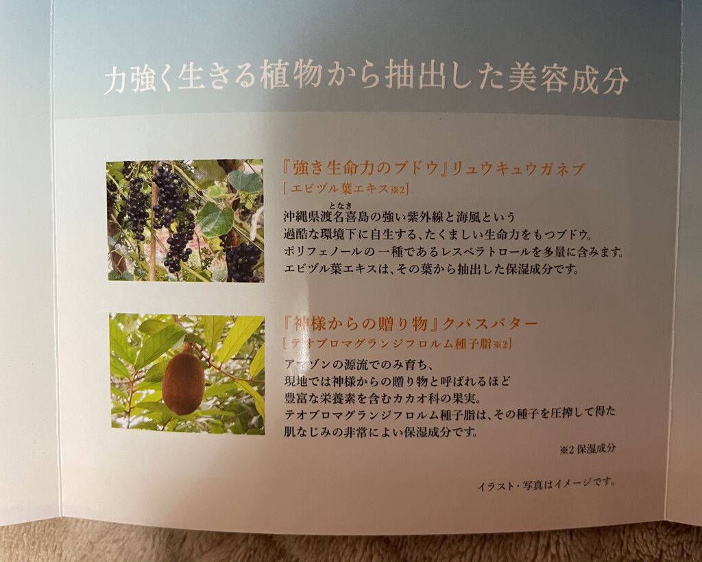 ALBION エクラフチュール dのクチコミ「初めての美容液！
アルビオン
エクラフチュール　d          40ml

こんばんは！.....」（3枚目）