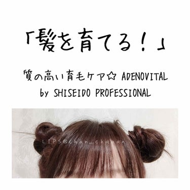 ザ・ヘアケア アデノバイタル シャンプー/資生堂プロフェッショナル/シャンプー・コンディショナーを使ったクチコミ（1枚目）