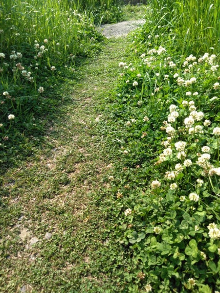 ボリュームバームリップ N ミニセット/インテグレート/口紅を使ったクチコミ(3枚目)