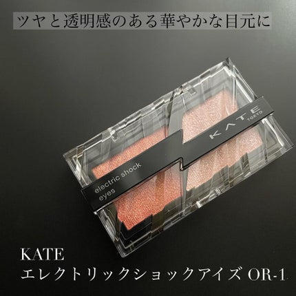 エレクトリックショックアイズ /KATE/アイシャドウパレットを使ったクチコミ(1枚目)
