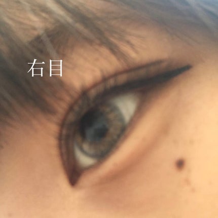 極細 アイライナーR/CEZANNE/リキッドアイライナーを使ったクチコミ(2枚目)