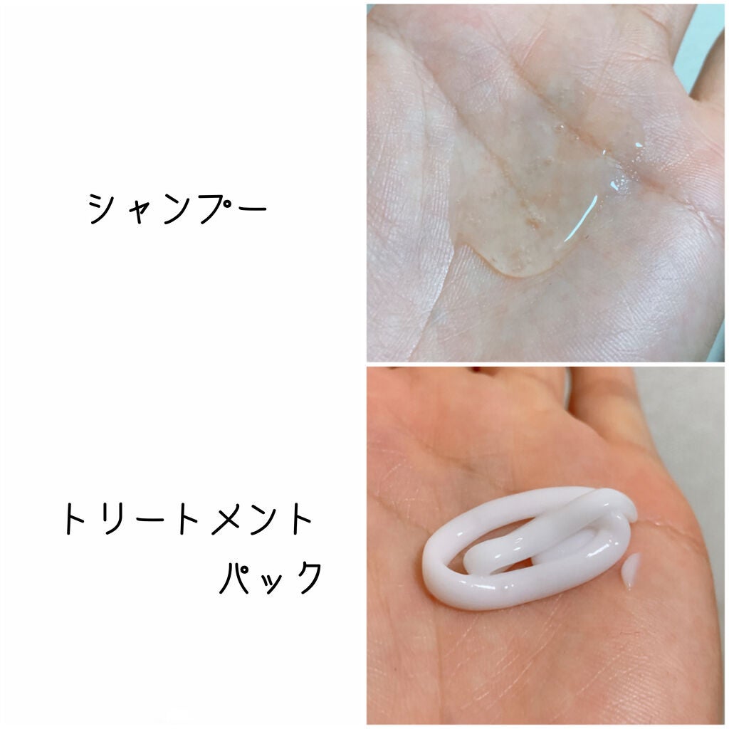 ã¹ã«ã«ãD ããŒã ããã¥ã©ã¹ã¿ãŒ ã¹ã«ã«ãã·ã£ã³ããŒïŒããªãŒãã¡ã³ãããã¯/ã¢ã³ãã¡ãŒ(ã¹ã«ã«ãD)/ã·ã£ã³ããŒã»ã³ã³ãã£ã·ã§ããŒã䜿ã£ãã¯ãã³ãïŒ2æç®ïŒ