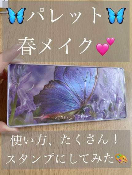 エクスプローラ12色 動物アイシャドウパレット/PERFECT DIARY/アイシャドウパレットを使ったクチコミ(1枚目)