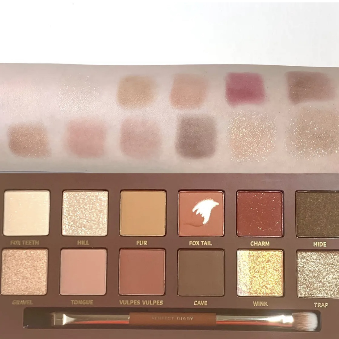 エクスプローラ12色 動物アイシャドウパレット/PERFECT DIARY/アイシャドウパレットを使ったクチコミ（3枚目）