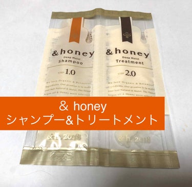 ディープモイスト シャンプー1.0／ヘアトリートメント2.0/&honey/シャンプー・コンディショナーを使ったクチコミ（1枚目）