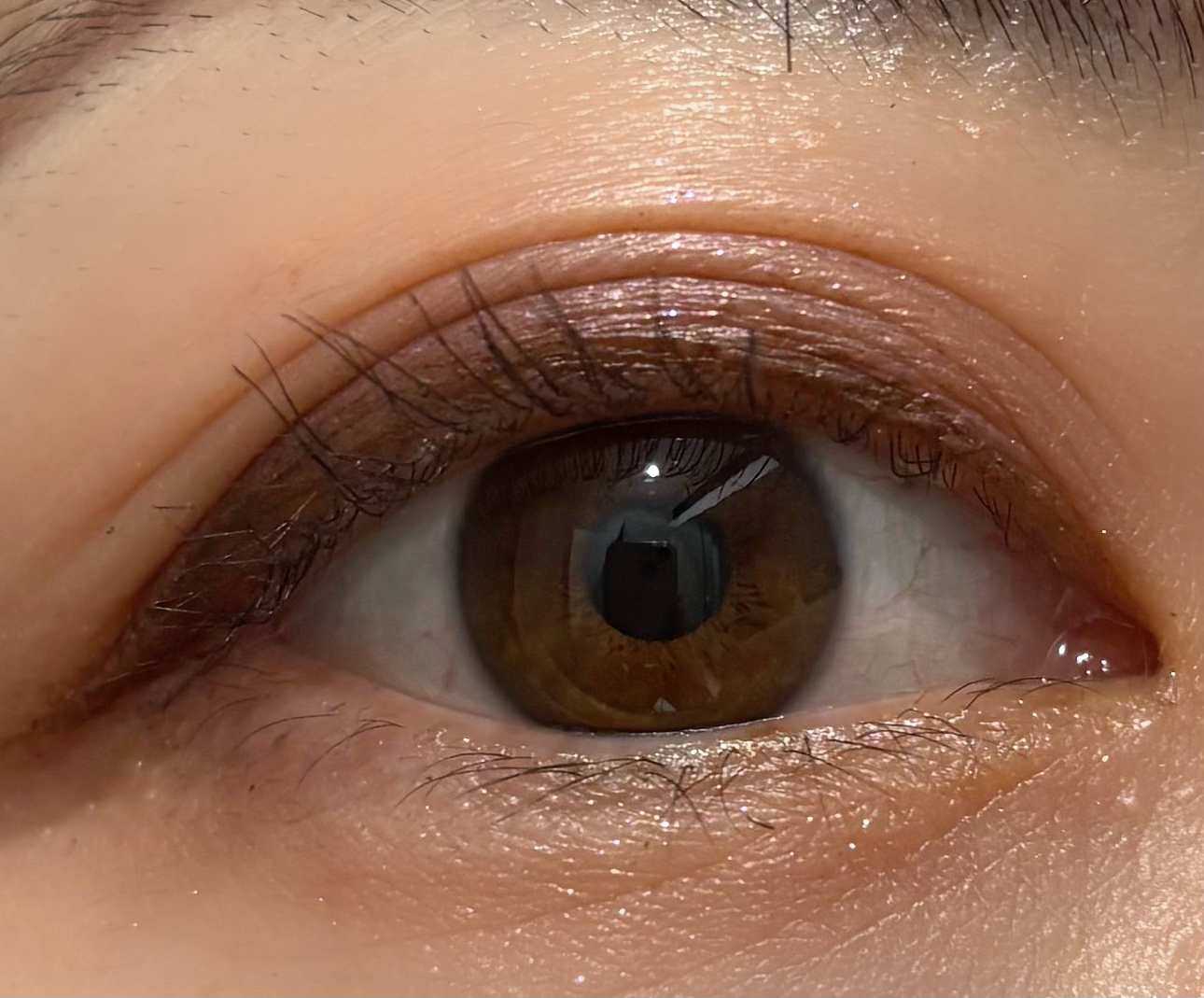 【旧】ディオールショウ サンク クルール（プラン ドゥ パリ コレクション限定品）/Dior/アイシャドウを使ったクチコミ（3枚目）