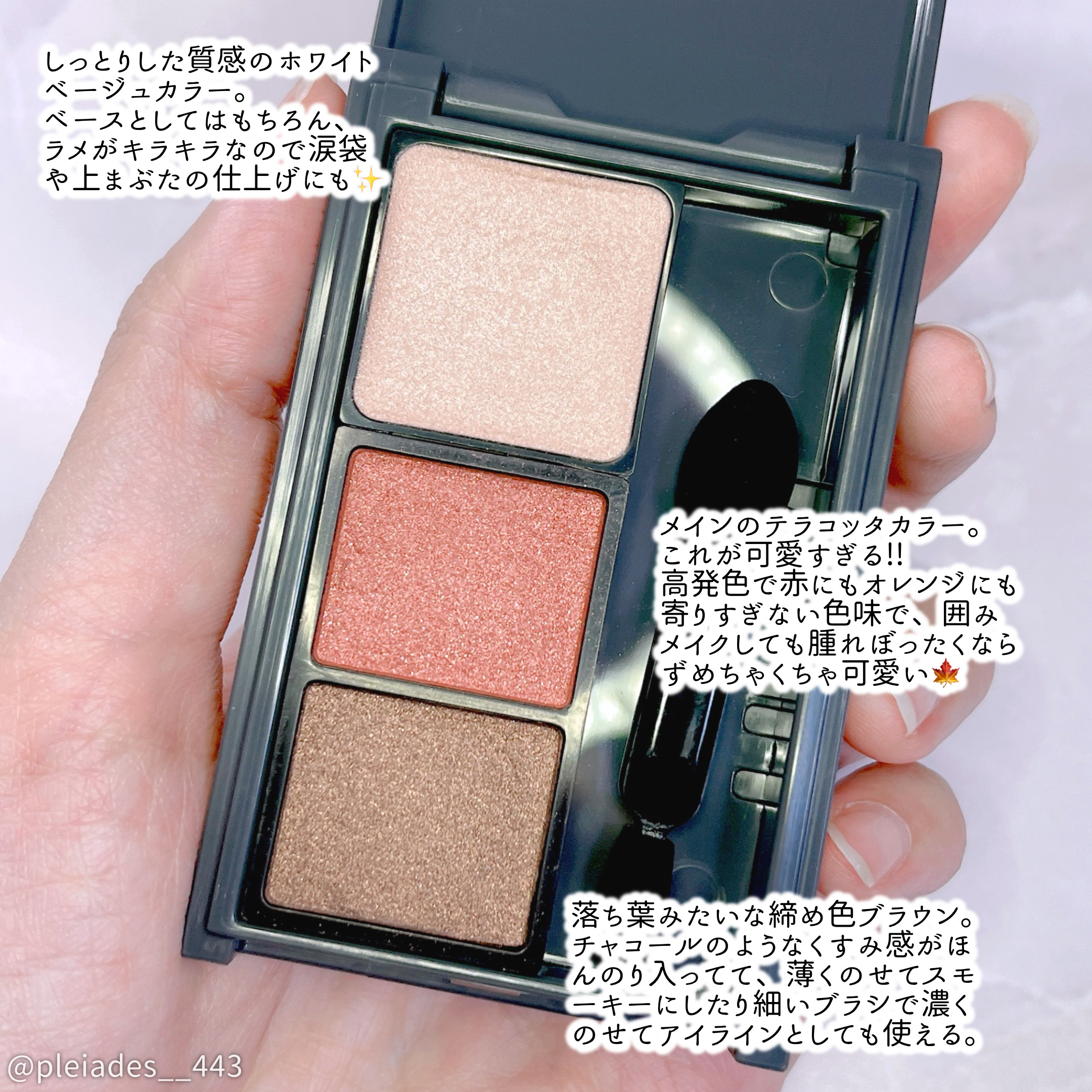 Vieta グロウフィットアイズ/ナリス化粧品/アイシャドウパレットを使ったクチコミ（3枚目）