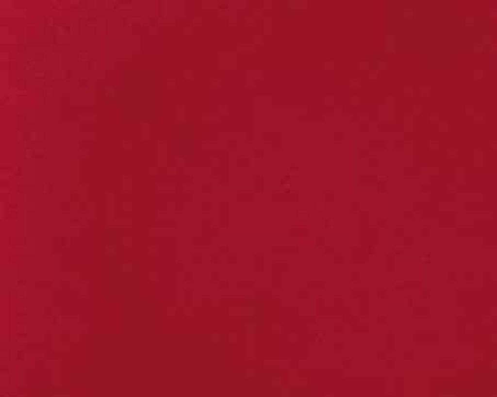 ボリュームバームリップ N/インテグレート/口紅を使ったクチコミ（3枚目）