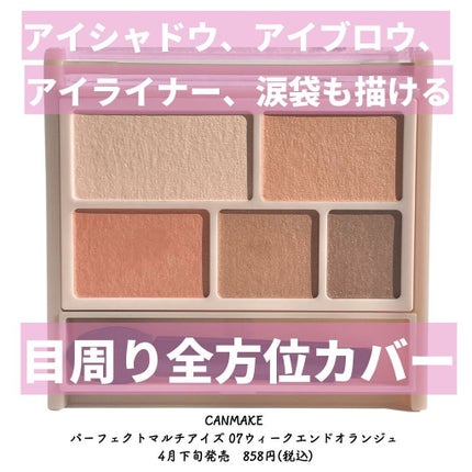 パーフェクトマルチアイズ/キャンメイク/アイシャドウパレットを使ったクチコミ(2枚目)