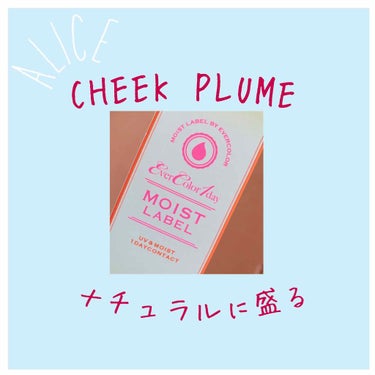 エバーカラーワンデー モイストレーベル/エバーカラー/ワンデー（１DAY）カラコンを使ったクチコミ（1枚目）