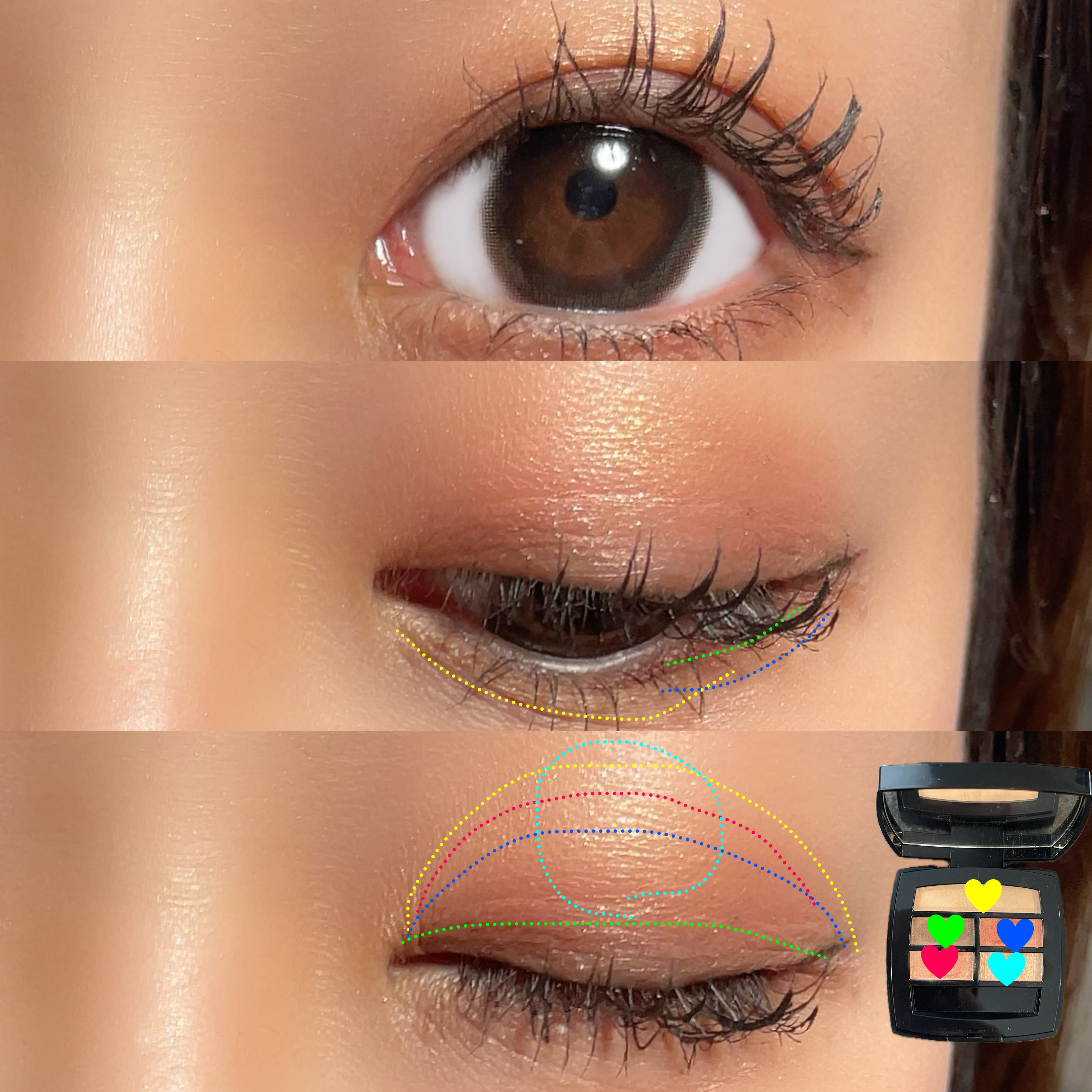 レ ベージュ パレット ルガール/CHANEL/アイシャドウパレットを使ったクチコミ（2枚目）