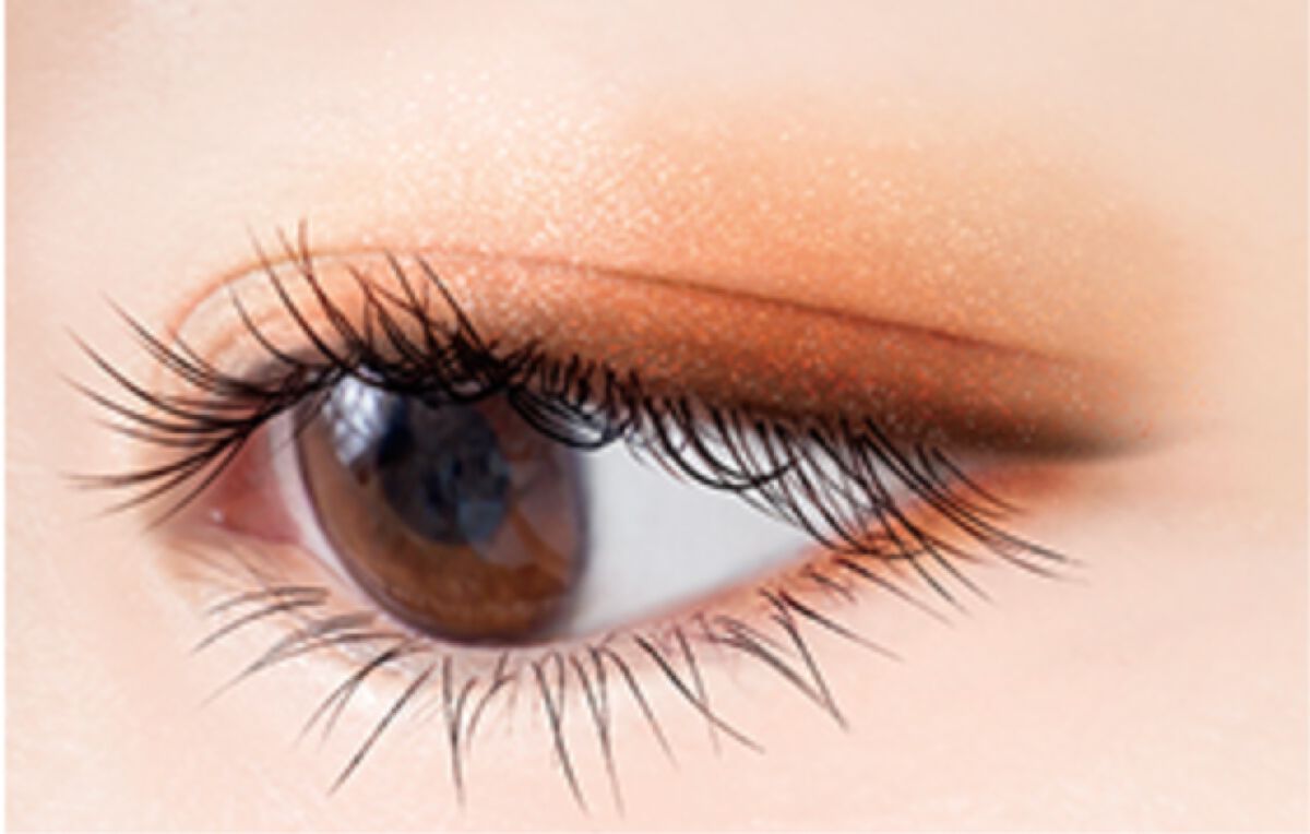 最…最終値下げです ❗ サ一パントエクセル1/8Rcカ一 リアルクローズシャドウ CS01 テラコッタブーティ / excel(エクセル