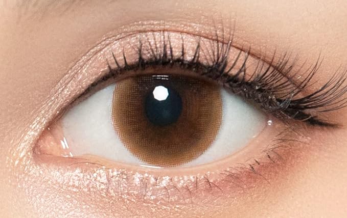 リッチスタンダード2WEEKシリーズ リラックスブラウン