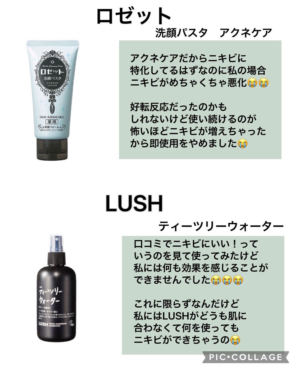 サボン オードパルファン/SHIRO/香水(レディース)を使ったクチコミ（2枚目）