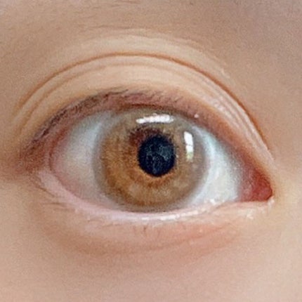 Angelcolor Bambi Series Vintage 1day/AngelColor/ワンデー(1DAY)カラコンを使ったクチコミ(4枚目)