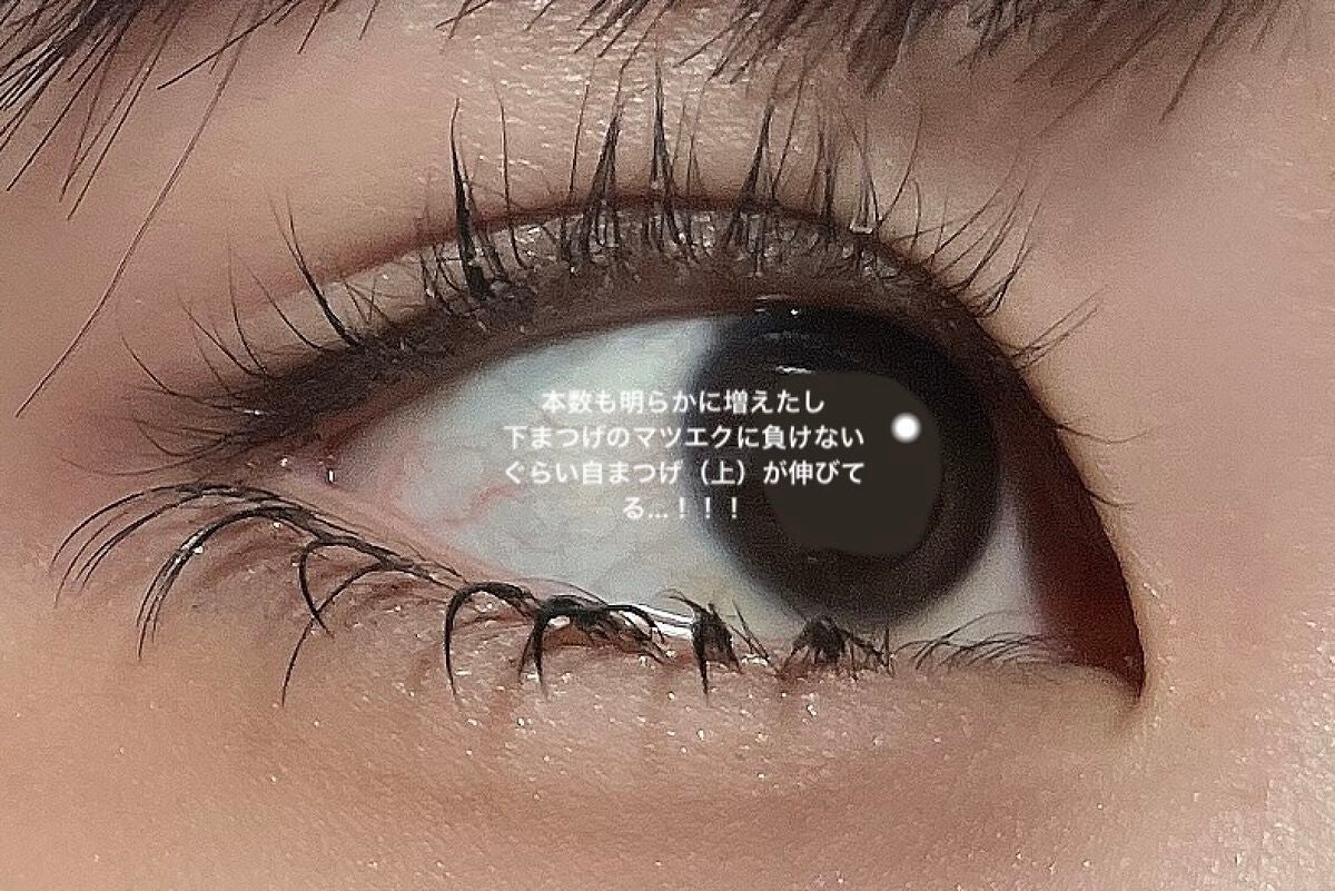 ラッシュジェリードロップ EX プレミアム/MAJOLICA MAJORCA/まつげ美容液を使ったクチコミ(3枚目)