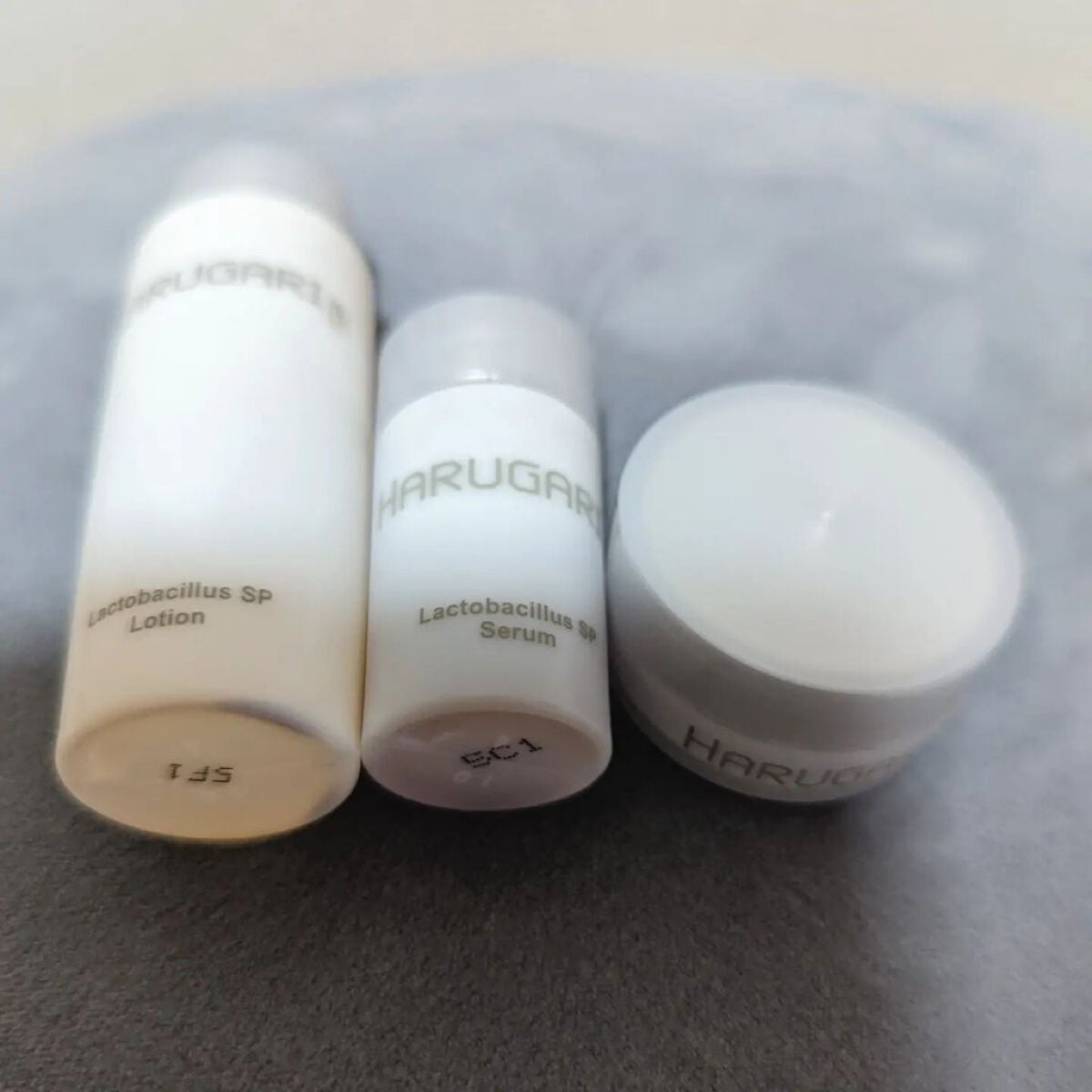 プレミアムキット HARUGARI